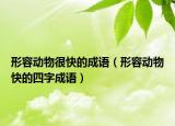 形容動物很快的成語（形容動物快的四字成語）