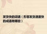 發(fā)貨快的詞語（形容發(fā)貨速度快的成語有哪些）