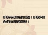 形容荷花顏色的成語（形容多顏色多的成語有哪些）