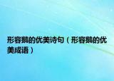 形容鵝的優(yōu)美詩句（形容鵝的優(yōu)美成語）
