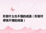 形容什么也不懂的成語（形容對感情不懂的成語）