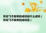 形容飛不起來(lái)的成語(yǔ)是什么成語(yǔ)（形容飛不起來(lái)的成語(yǔ)是）