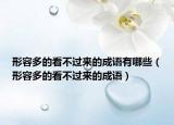 形容多的看不過來的成語有哪些（形容多的看不過來的成語）