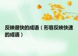 反映很快的成語(yǔ)（形容反映快速的成語(yǔ)）