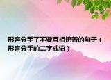 形容分手了不要互相挖苦的句子（形容分手的二字成語）