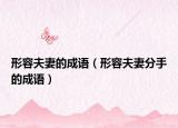 形容夫妻的成語（形容夫妻分手的成語）