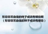 形容非常自信的樣子成語有哪些呢（形容非常自信的樣子成語有哪些）
