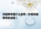 風(fēng)雨飄零是什么意思（形容風(fēng)雨飄零的成語(yǔ)）