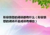形容憤怒的詞語都有什么（形容憤怒的詞語不是成語有哪些）