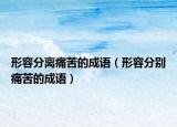 形容分離痛苦的成語（形容分別痛苦的成語）