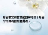 形容非常有智慧的四字詞語(yǔ)（形容非常具有智慧的成語(yǔ)）