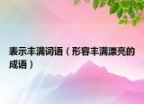 表示豐滿詞語（形容豐滿漂亮的成語）
