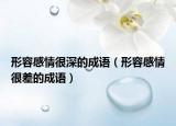 形容感情很深的成語(yǔ)（形容感情很差的成語(yǔ)）