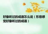 好像聽過(guò)的成語(yǔ)怎么說(shuō)（形容感覺(jué)好像聽過(guò)的成語(yǔ)）