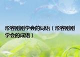 形容剛剛學(xué)會(huì)的詞語(yǔ)（形容剛剛學(xué)會(huì)的成語(yǔ)）