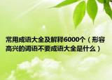 常用成語大全及解釋6000個(gè)（形容高興的詞語不要成語大全是什么）