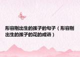 形容剛出生的孩子的句子（形容剛出生的孩子的花的成語(yǔ)）