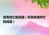各有各忙的成語（形容各有所忙的成語）