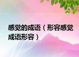 感覺(jué)的成語(yǔ)（形容感覺(jué)成語(yǔ)形容）