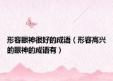 形容眼神很好的成語(yǔ)（形容高興的眼神的成語(yǔ)有）