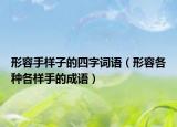 形容手樣子的四字詞語（形容各種各樣手的成語）