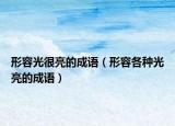 形容光很亮的成語（形容各種光亮的成語）