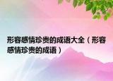 形容感情珍貴的成語大全（形容感情珍貴的成語）