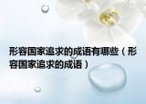 形容國家追求的成語有哪些（形容國家追求的成語）