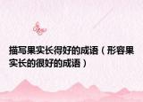 描寫果實長得好的成語（形容果實長的很好的成語）