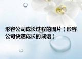 形容公司成長過程的圖片（形容公司快速成長的成語）
