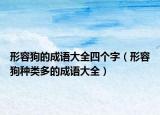 形容狗的成語大全四個字（形容狗種類多的成語大全）