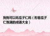 狗狗可以吃瓜子仁嗎（形容瓜子仁飽滿的成語大全）