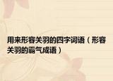 用來形容關(guān)羽的四字詞語（形容關(guān)羽的霸氣成語）