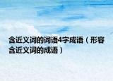 含近義詞的詞語4字成語（形容含近義詞的成語）