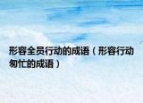形容全員行動的成語（形容行動匆忙的成語）