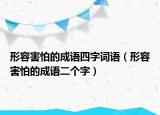 形容害怕的成語四字詞語（形容害怕的成語二個字）