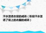 汗水濕透衣背的成語（形容汗水濕透了背上的衣服的成語）