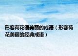 形容荷花很美麗的成語（形容荷花美麗的經典成語）