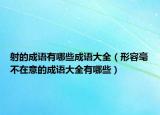 射的成語有哪些成語大全（形容毫不在意的成語大全有哪些）