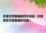 形容非常普遍的四字詞語（形容很常見很普遍的成語）