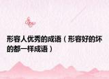 形容人優(yōu)秀的成語（形容好的壞的都一樣成語）