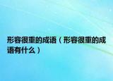 形容很重的成語(yǔ)（形容很重的成語(yǔ)有什么）