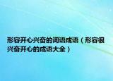 形容開心興奮的詞語(yǔ)成語(yǔ)（形容很興奮開心的成語(yǔ)大全）