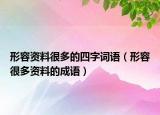 形容資料很多的四字詞語（形容很多資料的成語）