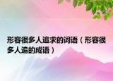 形容很多人追求的詞語（形容很多人追的成語）