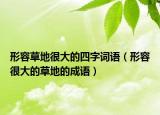 形容草地很大的四字詞語（形容很大的草地的成語）