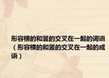 形容橫的和豎的交叉在一起的詞語(yǔ)（形容橫的和豎的交叉在一起的成語(yǔ)）