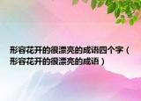 形容花開的很漂亮的成語四個(gè)字（形容花開的很漂亮的成語）