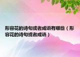 形容花的詩句或者成語有哪些（形容花的詩句或者成語）