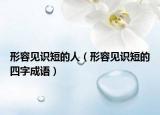 形容見識短的人（形容見識短的四字成語）